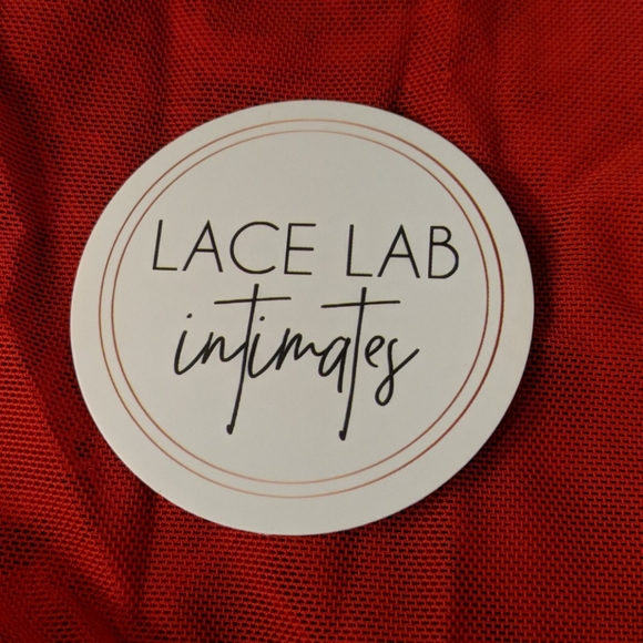 NIP Red Lace Bodysuit - Picture 5 of 5